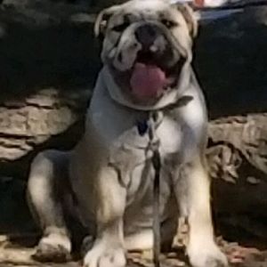 Meet your Posher, Christopher